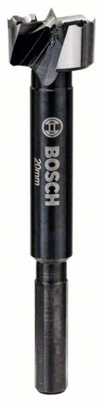 Bosch Accessories 2608577006 Forstnerov vrták 20 mm   1 ks