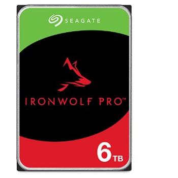 Seagate IronWolf Pro 6 TB (ST6000NT001)