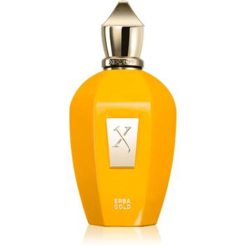 Xerjoff Erba Gold parfumovaná voda unisex 100 ml