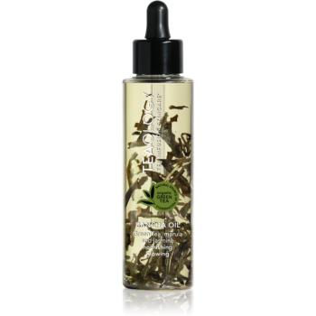 Teaology Body Bancha Oil vyživujúci a hydratačný olej 100 ml