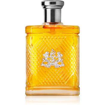 Ralph Lauren Safari Men toaletná voda pre mužov 125 ml