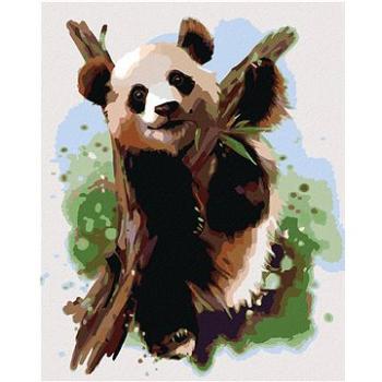 Maľovanie podľa čísel – Panda na konári (HRAmal01039nad)