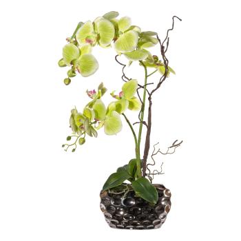 Gasper Umělá květina Orchidej v oválné váze, zelená, 55 cm