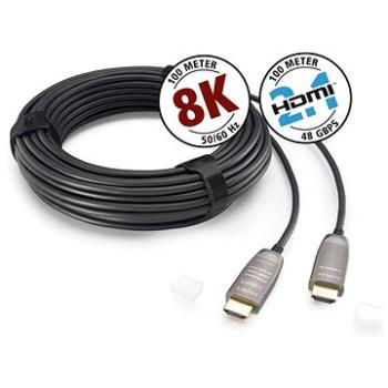 Inakustik HDMI 2.1 10 m (009245010)