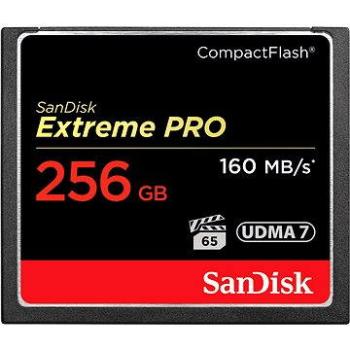 SanDisk Compact Flash 256 GB 1000x Extreme Pro (SDCFXPS-256G-X46)