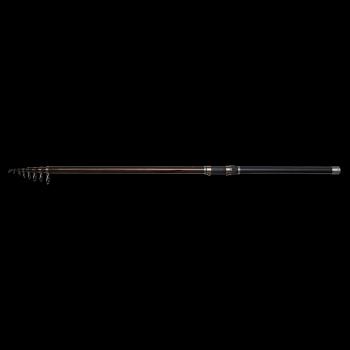 Dam prút backbone ii stellfisch 8 m 50-100 g