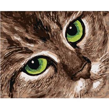Maľovanie podľa čísel – Mačka a zelené oči (HRAbz33556nad)
