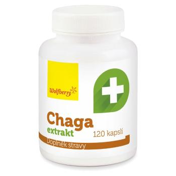 WOLFBERRY Chaga extrakt 120 kapsúl