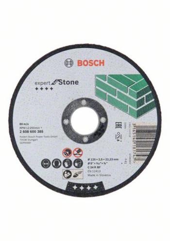 Bosch Accessories 2608600385 2608600385 rezný kotúč rovný  125 mm 22.23 mm 1 ks