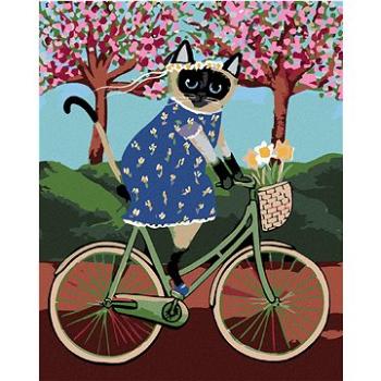Maľovanie podľa čísel – Mačička na bicykli (HRAmal00258nad)