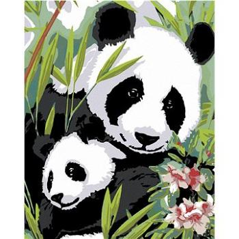 Maľovanie podľa čísel – Panda s mláďaťom (HRAmal00910nad)
