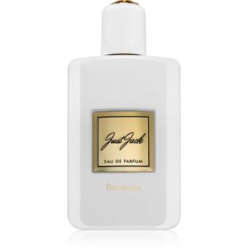 Just Jack Patchouli parfumovaná voda pre ženy 100 ml