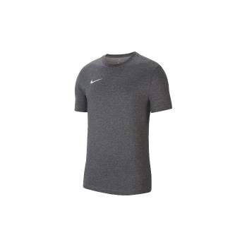 Nike  Dri-Fit Park 20 Tee  Tričká s krátkym rukávom Šedá