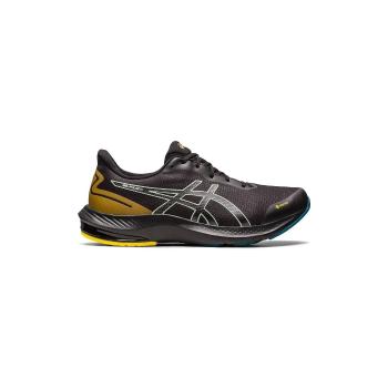 Asics  GEL PULSE 14 GTX  Univerzálna športová obuv Čierna