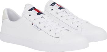 Tommy Hilfiger Pánske tenisky EM0EM01314YBR 45