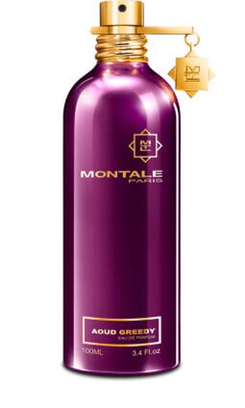 Montale Aoud Greedy - EDP 2 ml - odstrek s rozprašovačom