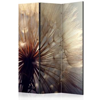 Paraván Dandelion Kiss Dekorhome 135x172 cm (3-dielny)