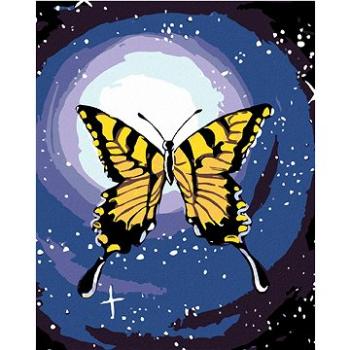 Maľovanie podľa čísel – Motýľ a nočná obloha (HRAmal00814nad)