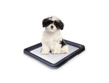 Nobby Doggy Trainer psí toaleta 48 x 41 x 3,5 cm S