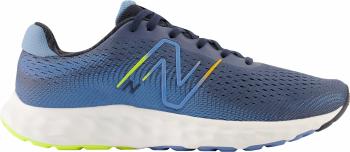 New Balance Mens M520 Blue 45