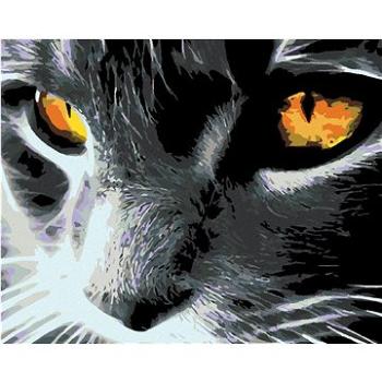 Maľovanie podľa čísel – Čierna mačka a jasný pohľad (HRAmal00372nad)