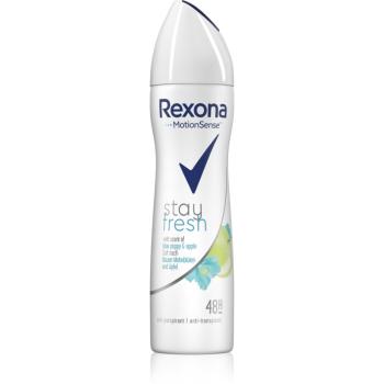 Rexona Stay Fresh Blue Poppy & Apple antiperspirant v spreji 48h 150 ml