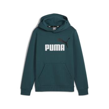 Puma  ESS+ 2 COL BIG LOGO HOODIE FL  Mikiny Zelená