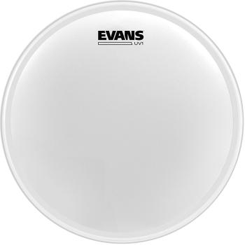 Evans BD22UV1 UV Coated1 Coated 22" Blana na bubon