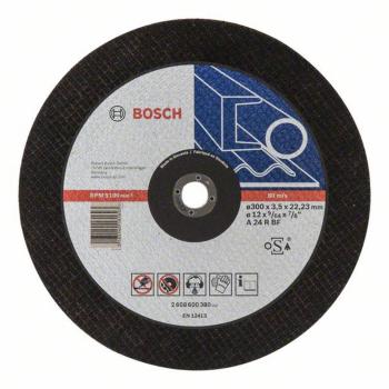 Bosch Accessories 2608600380 2608600380 rezný kotúč rovný  300 mm 22.23 mm 1 ks