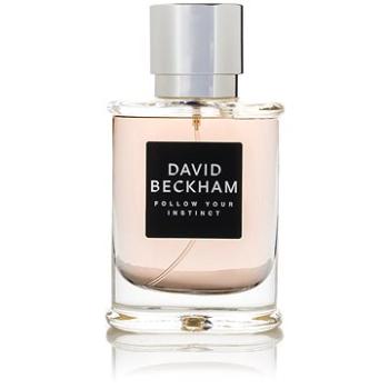 DAVID BECKHAM Follow Your Instinct EdT 50 ml (3614227558670)