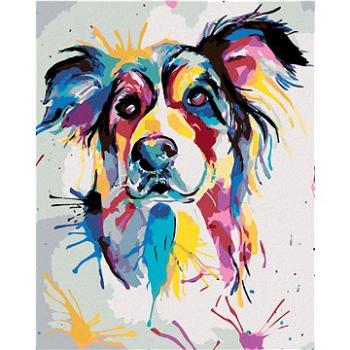 Maľovanie podľa čísel – Krásny maľovaný pes (HRAmal00041nad)