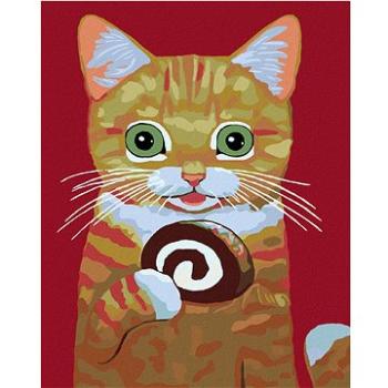 Maľovanie podľa čísel – Mačka s roládou (HRAmal00705nad)