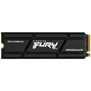 Kingston FURY Renegade NVMe 500 GB Heatsink (SFYRSK/500G)