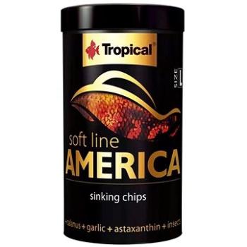 Tropical America L 100 ml 52 g (5900469674338)