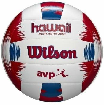 Wilson AVP Hawaii