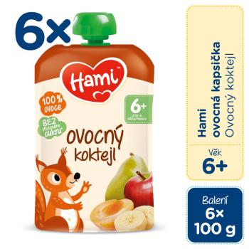 6x HAMI Kapsička ovocná Ovocný kokteil 100 g, 6+
