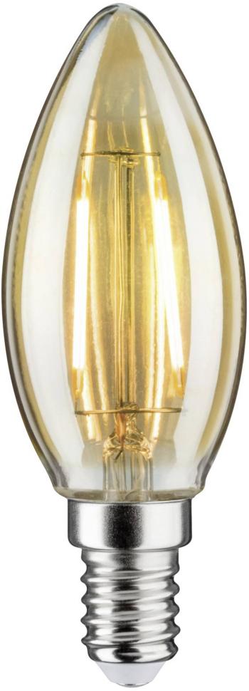 Paulmann 28524 LED   E14 sviečkový tvar 2 W zlatá (Ø x v) 35 mm x 97 mm  1 ks