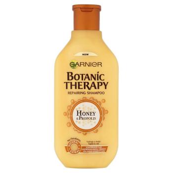 Garnier Botanic Therapy Honey šampón na vlasy