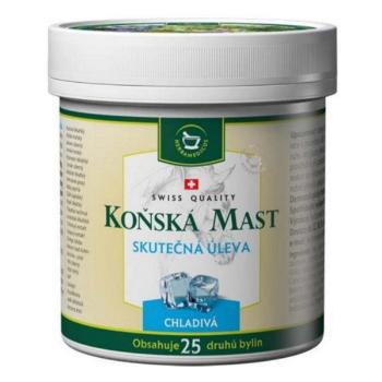 Herbamedicus konská masť chladivá 250 ml