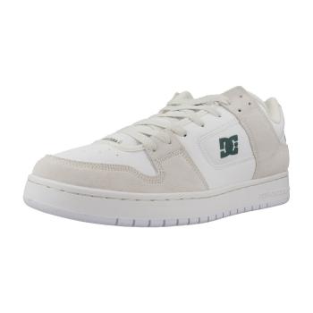 DC Shoes  MANTECA SE SHOE  Módne tenisky Biela