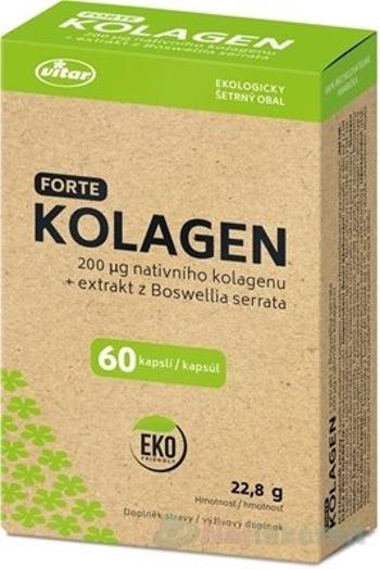 VITAR Kolagén forte + extrakt z Boswellia serrata EKO 60 kapsúl