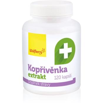 Wolfberry Kopřivěnka extrakt BIO kapsuly na kontrolu hmotnosti 120 ks