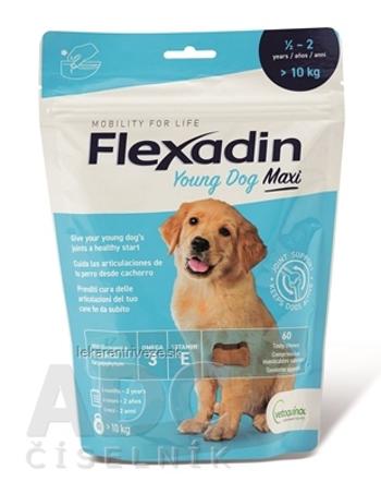 Flexadin Young Dog Maxi žuvacie tablety pre psov 1x60 ks