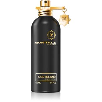 Montale Oud Island parfumovaná voda unisex 100 ml