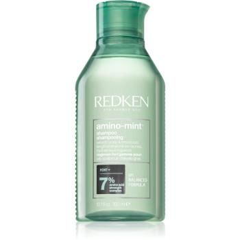 Redken Amino Mint jemný čistiaci šampón pre rýchlo sa mastiace vlasy 300 ml