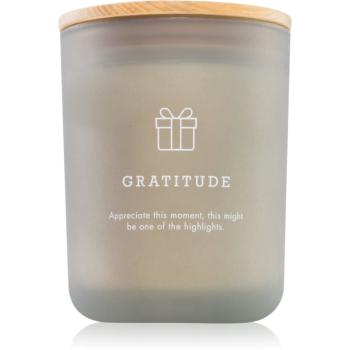 DW Home Hygge Gratitude vonná sviečka 425 g