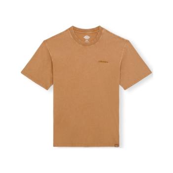 Dickies  Plentywood T-Shirt - Brown  Tričká a polokošele Hnedá