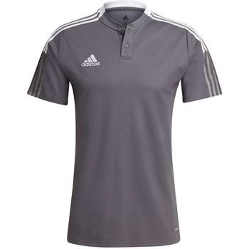 adidas  Tričká s krátkym rukávom Tiro 21 Polo  viacfarebny