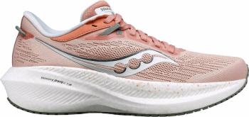 Saucony Triumph 21 Womens Lotus/Bough 37 Cestná bežecká obuv