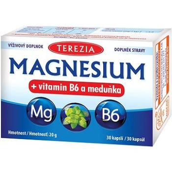 TEREZIA MAGNESIUM + vitamín B6 a medovka 30 kapsúl (3703130)